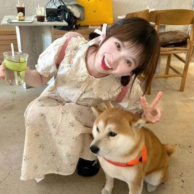 警犬赤龙